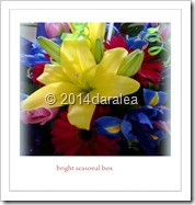 bright seasonal box .55-60.jpg.14