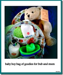 baby boy bag of goodies for bub and mum no.45 22-10-2014 9-34-16 AM.17